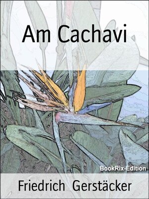 cover image of Am Cachavi
